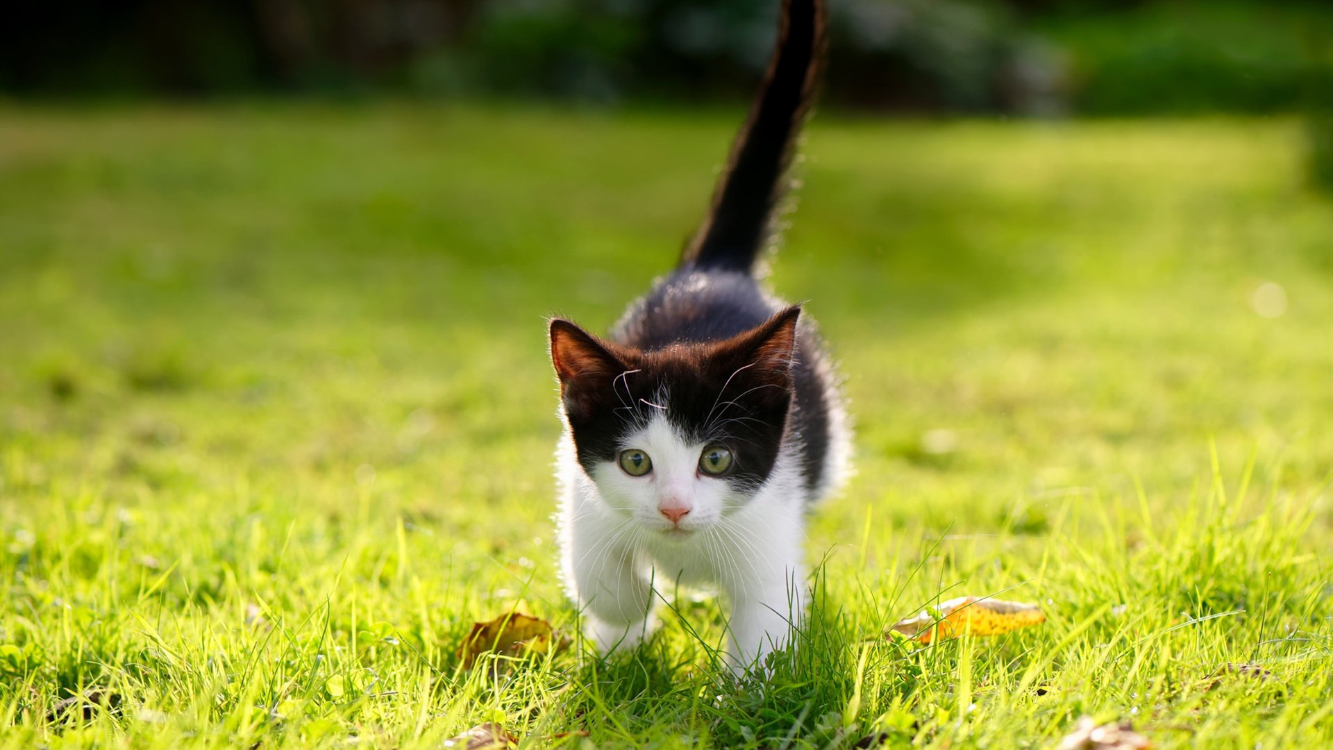 _马拉松式网球赛：长时间耐力大比拼_，马拉松wa