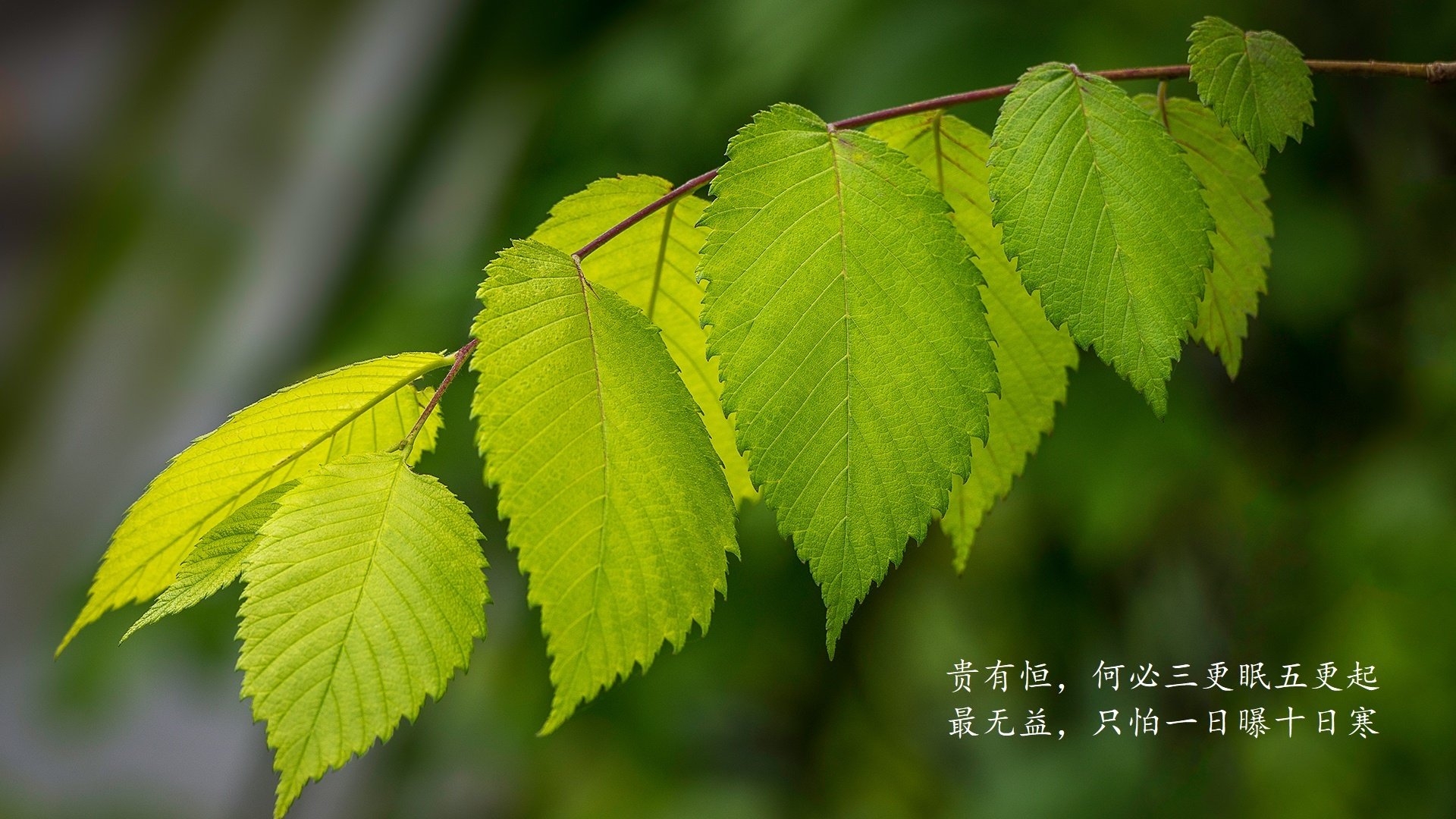 布鲁诺·卡博克洛在巴黎奥运会小组赛中展现领导力，布鲁诺-卡波科洛