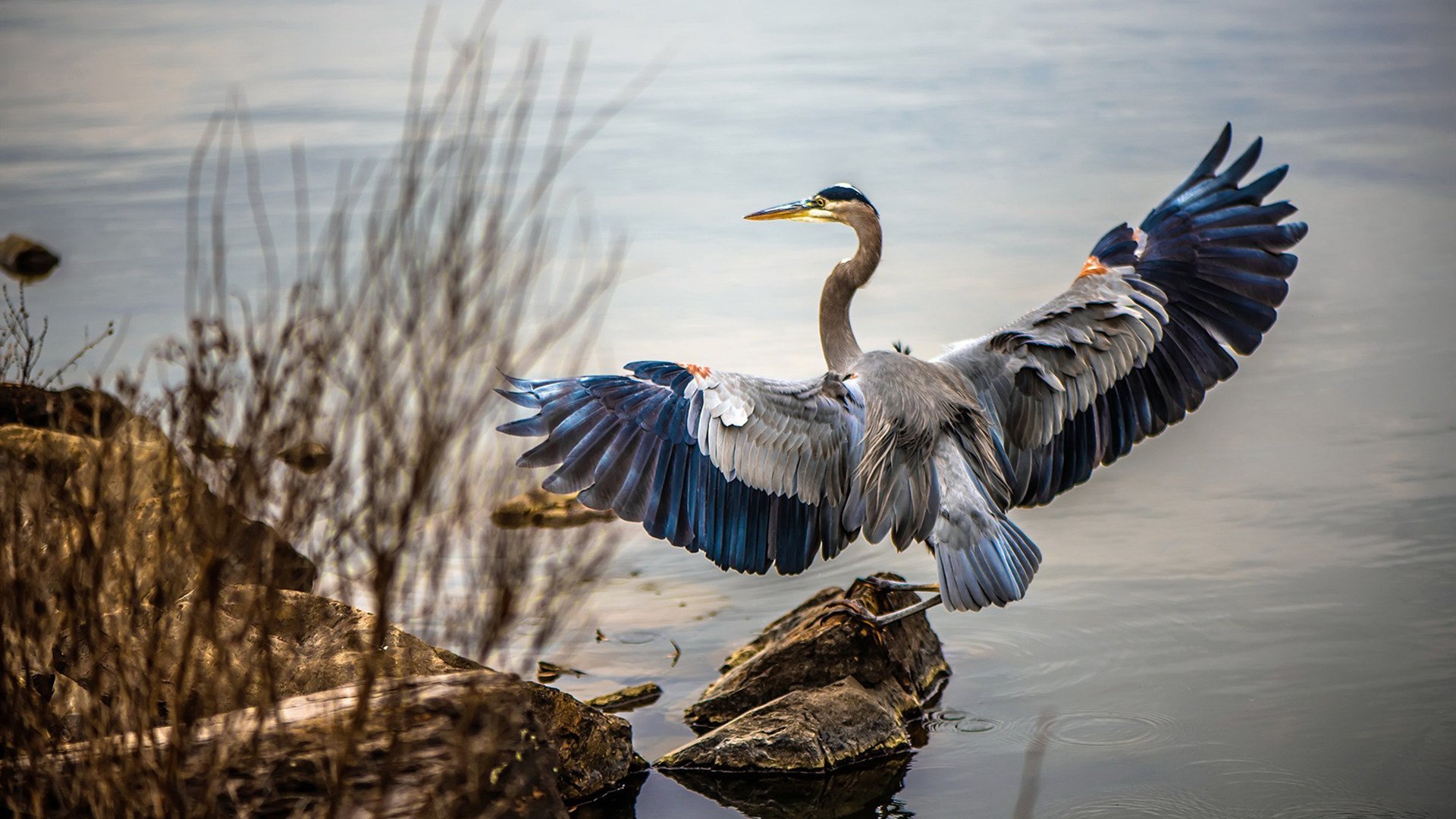 冲刺终点：浙江战队全员出击获得胜利，浙江战队口号
