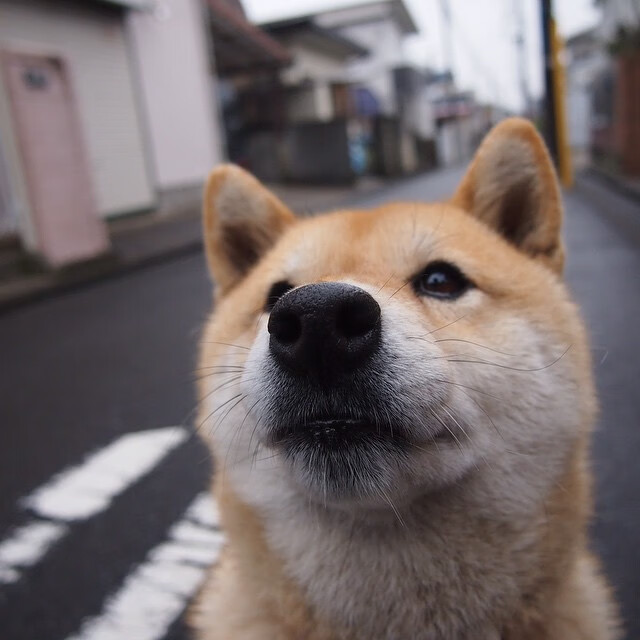 利物浦名宿转战德甲，球迷热切期待，利物浦名宿转战德甲,球迷热切期待