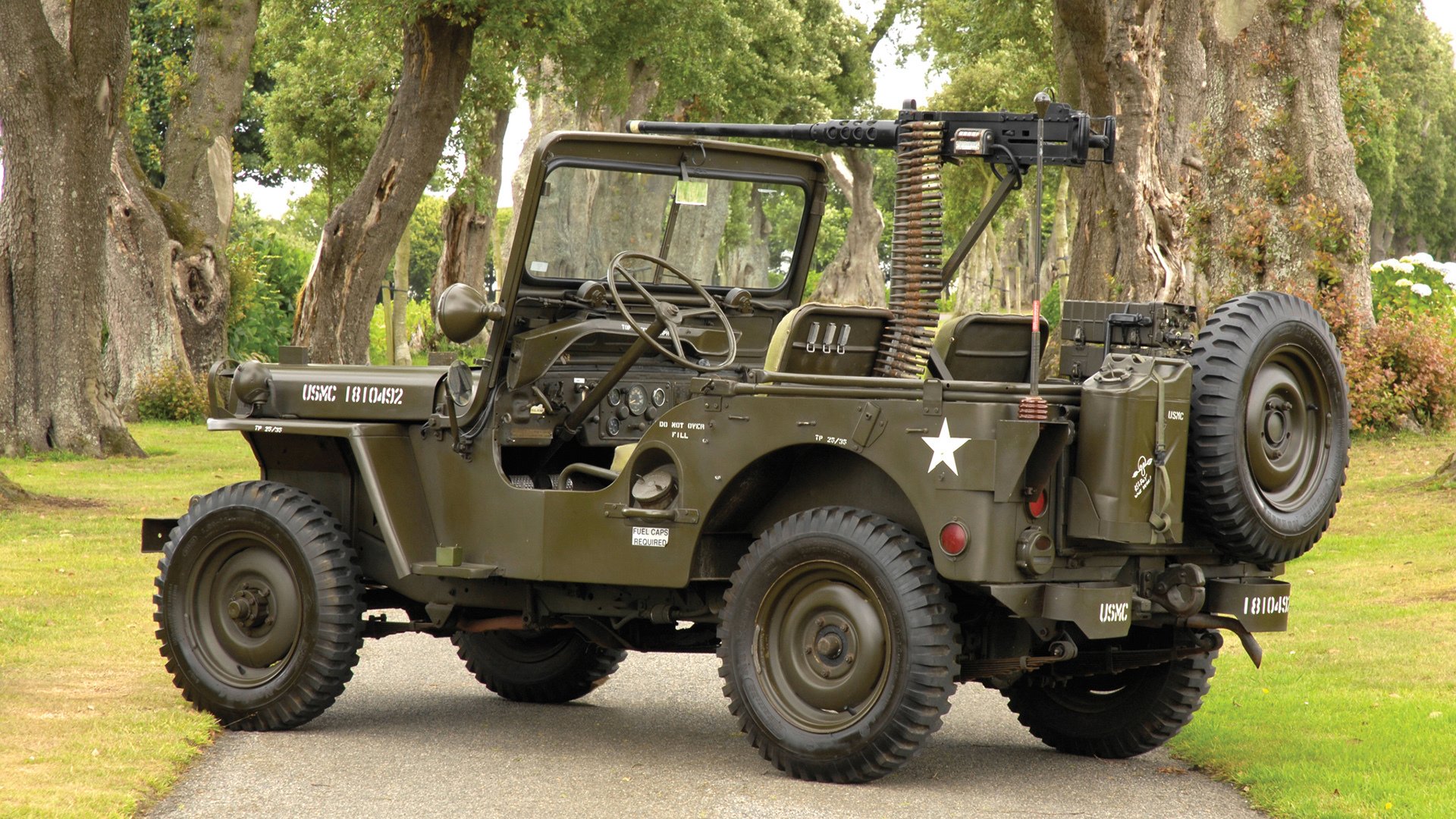 世界青少年田径锦标赛中国队赢得多项金牌，世界青年田径锦标赛参赛资格