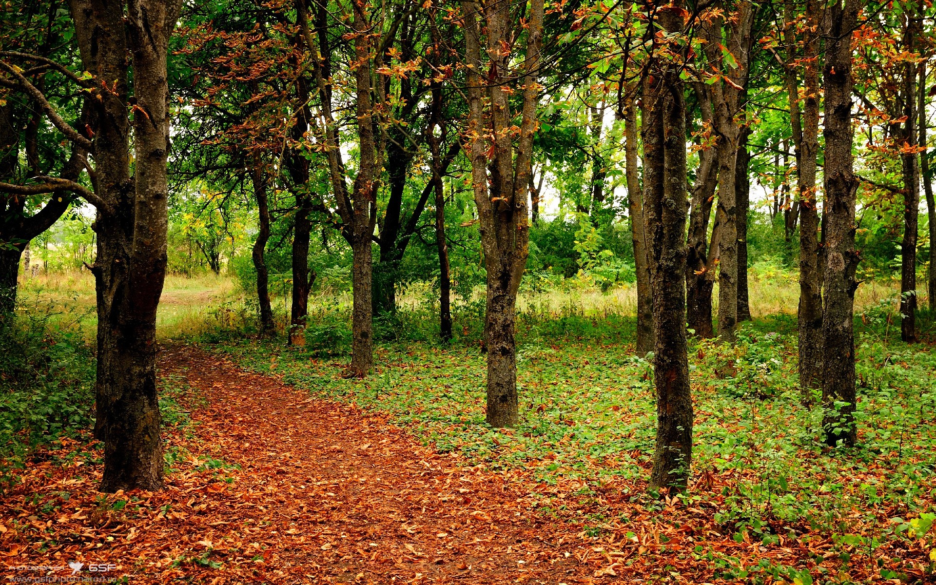 熊猫体育-英超球队高压战术执行中体能衰减速率与失误率关系研究