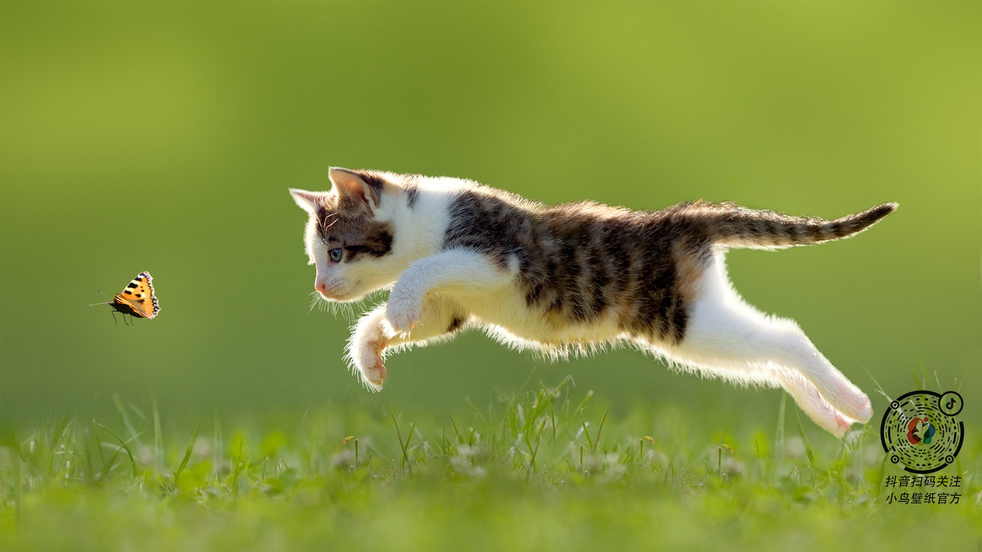 西甲青年队国际巡回赛培养体系成效研究，2019_2020西甲参赛队伍