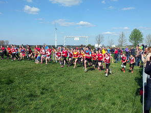 熊猫体育app官网-青少年体育锻炼行为促进措施研究，《青少年体育活动促进计划》