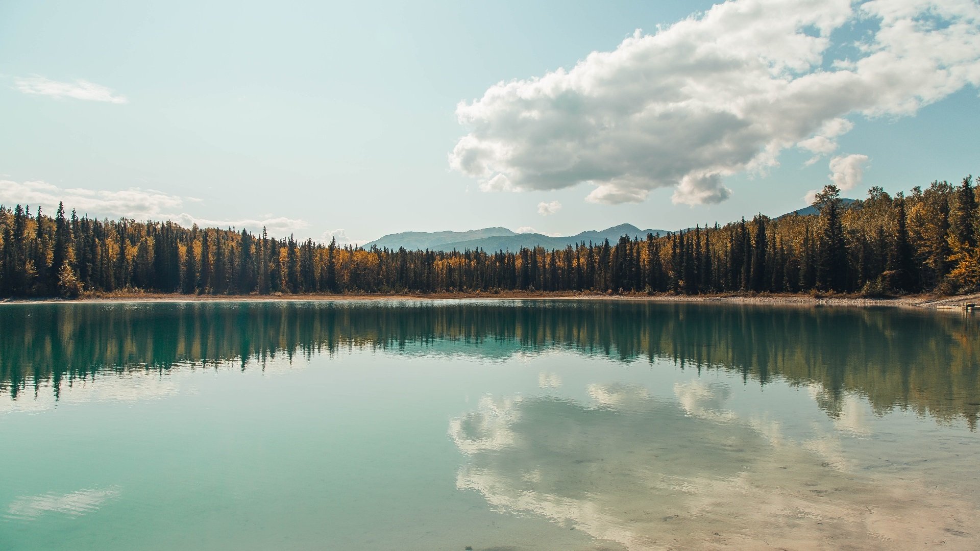青少年运动损伤防护知识普及策略及效果评估，青少年运动损伤防护知识普及策略及效果评估