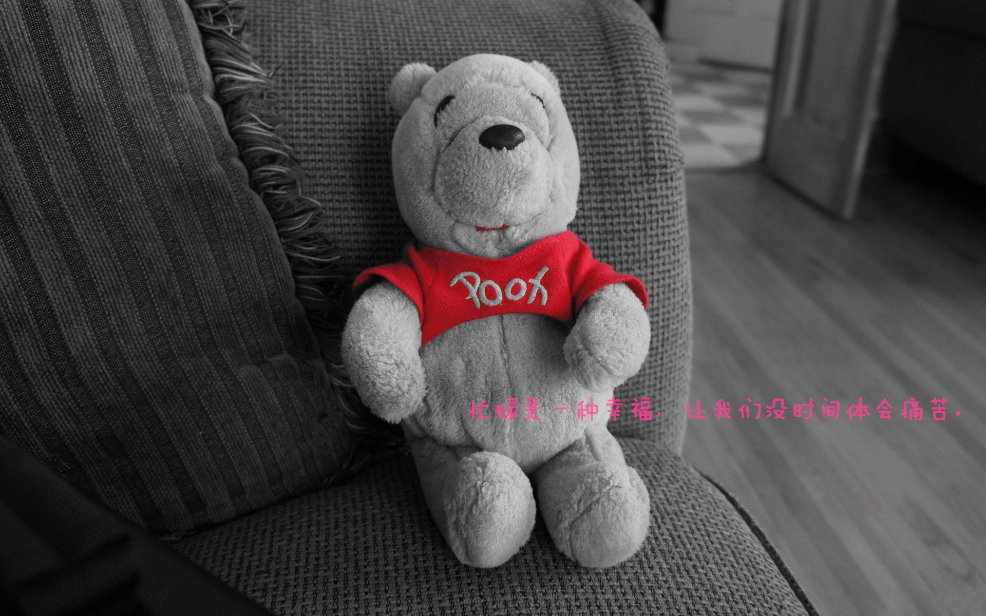 CBA球队建立球员数据档案追踪成长，cba 球员数据库