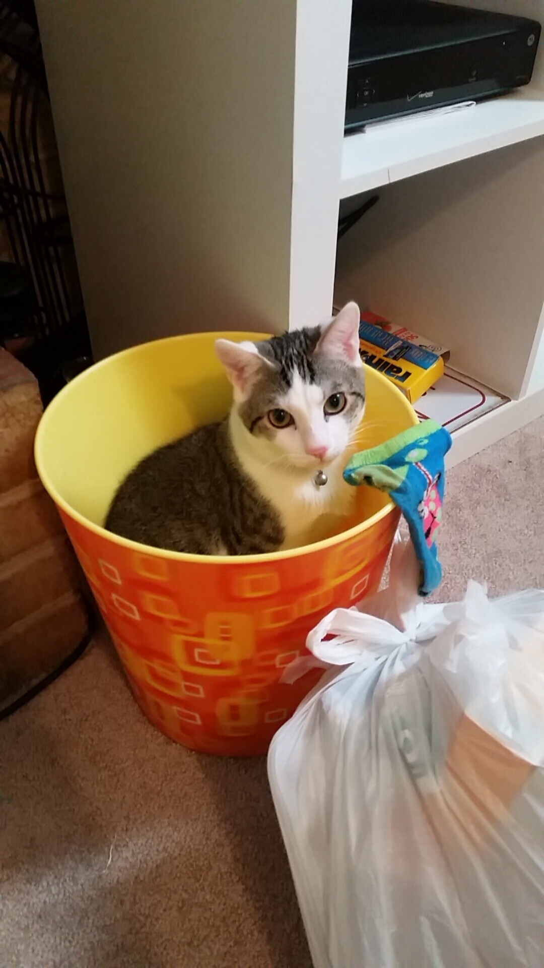 熊猫体育平台-“彭尤蝶泳+自由泳：从新星到顶级选手的飞跃”