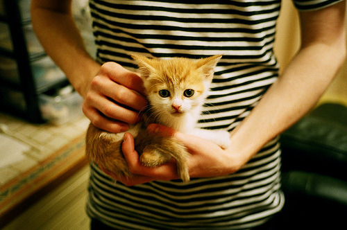 “简阳文体中心羽毛球赛：选手超高竞技状态，决战激烈”