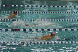 熊猫直播-中国游泳运动员世锦赛接力项目表现抢眼，中国游泳接力夺金