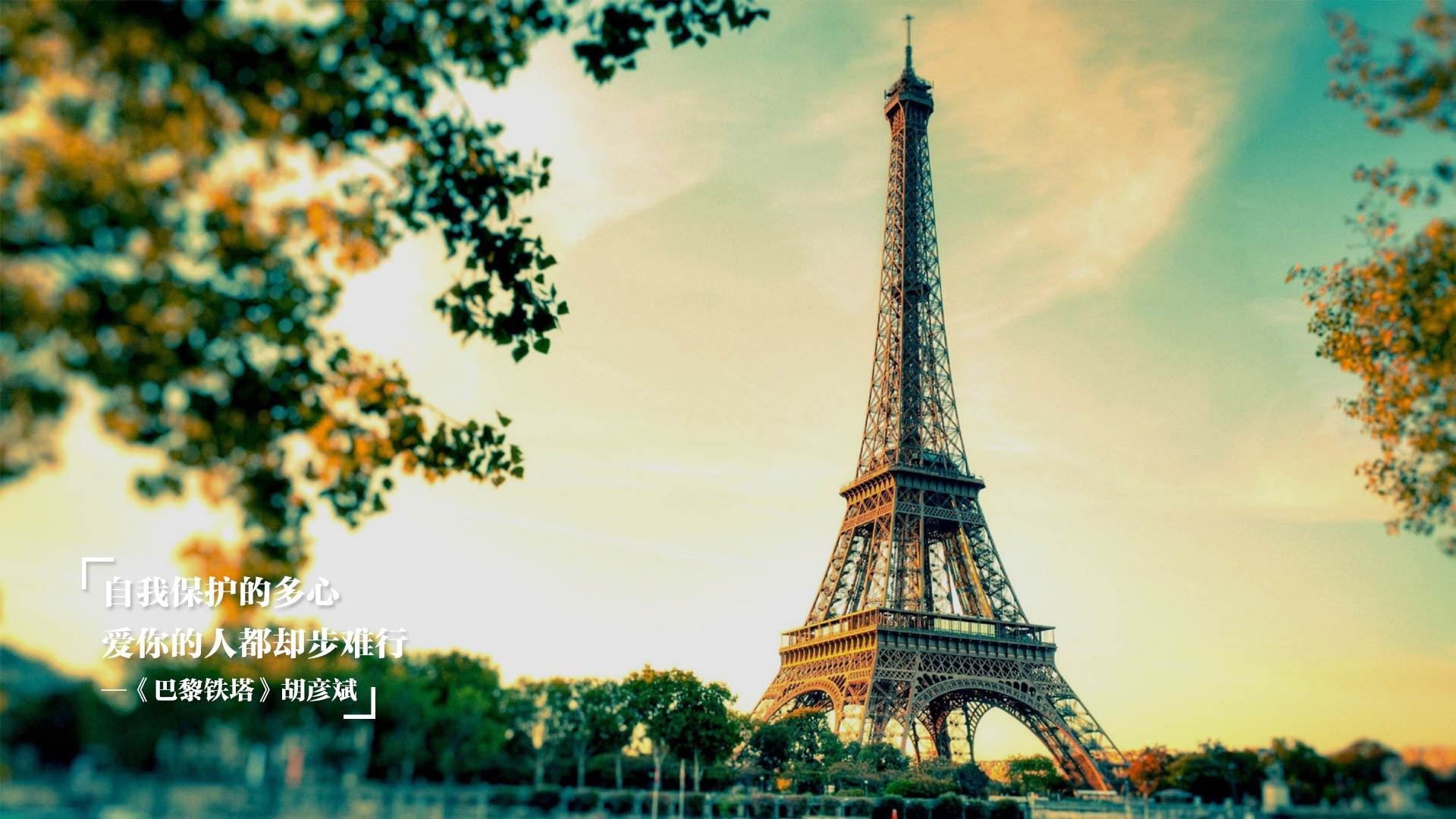 中国游泳运动员世锦赛接力项目表现抢眼，中国游泳接力夺金